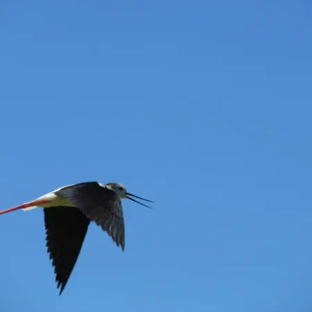 Aveiro City Hotel Gasthof