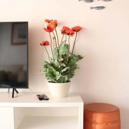 Konukevi Aveiro City Hotel *