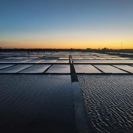 بيت ضيافة Aveiro City Hotel