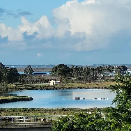 招待所 Aveiro City Hotel 阿威罗