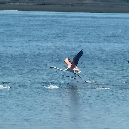 Aveiro City Hotel Konukevi